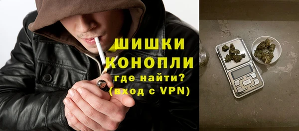 ПСИЛОЦИБИНОВЫЕ ГРИБЫ Балабаново
