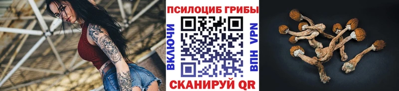 Галлюциногенные грибы Psilocybine cubensis  Бобров 